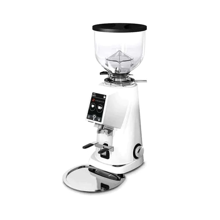 Fiorenzato F4 Evo Coffee Grinder